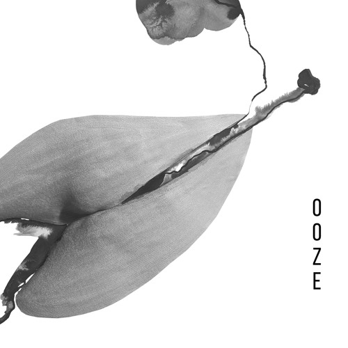 OOZE cover