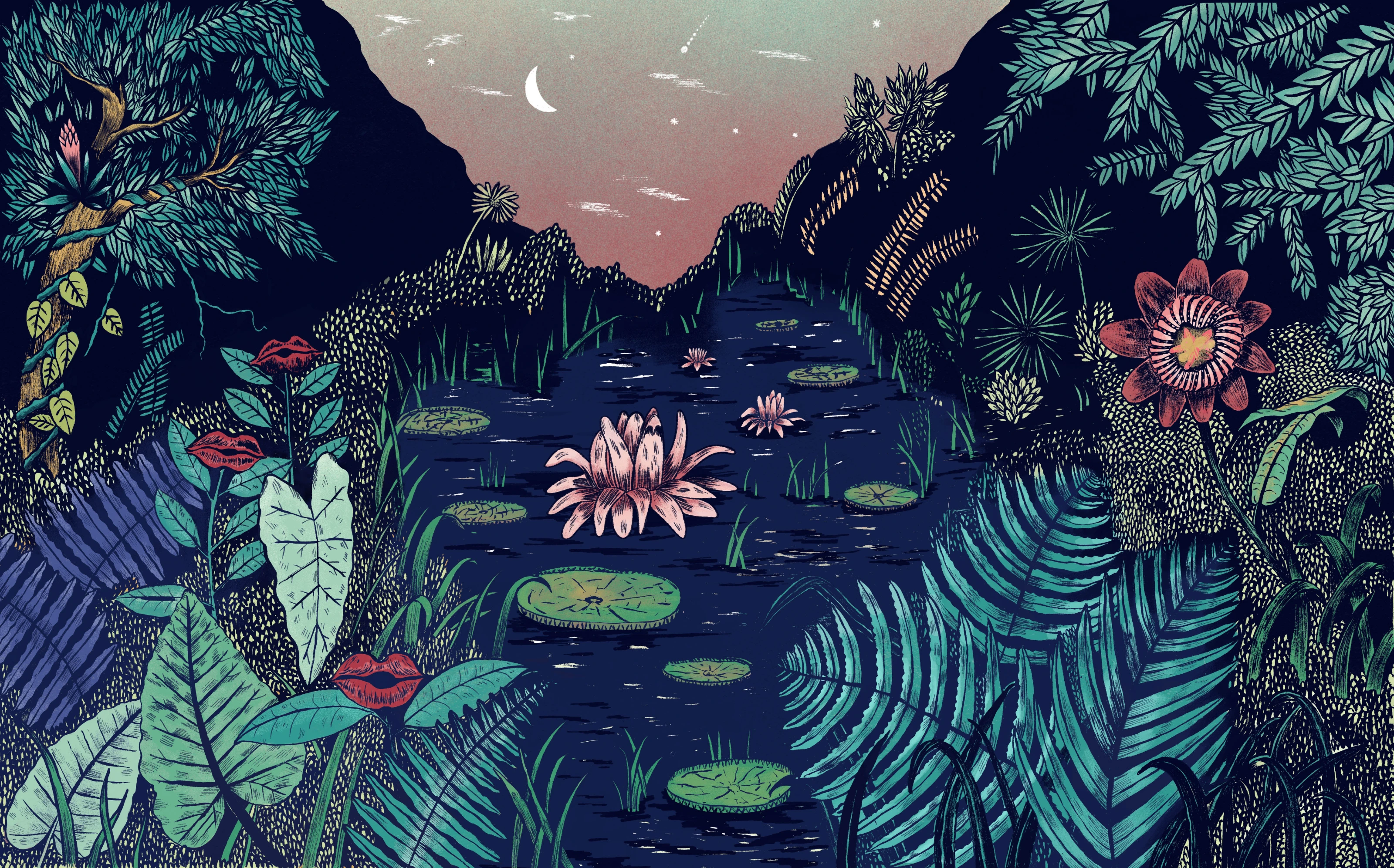 Flor de Rio cover